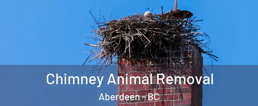 Chimney Animal Removal Aberdeen - BC