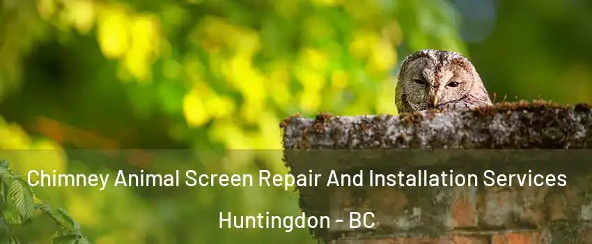 Chimney Animal Screen Repair And Installation Services Huntingdon - BC