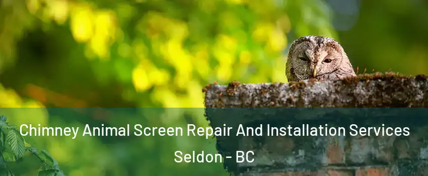 Chimney Animal Screen Repair And Installation Services Seldon - BC