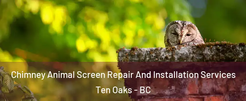 Chimney Animal Screen Repair And Installation Services Ten Oaks - BC