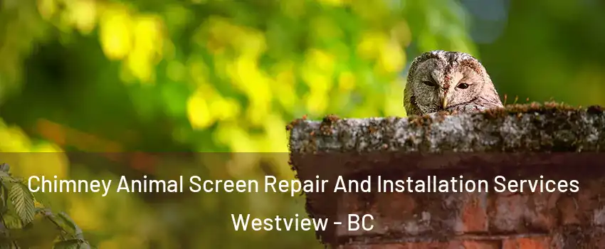 Chimney Animal Screen Repair And Installation Services Westview - BC