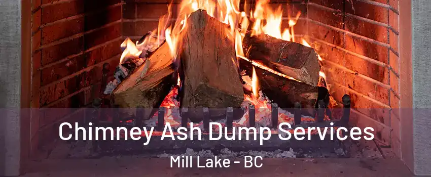 Chimney Ash Dump Services Mill Lake - BC