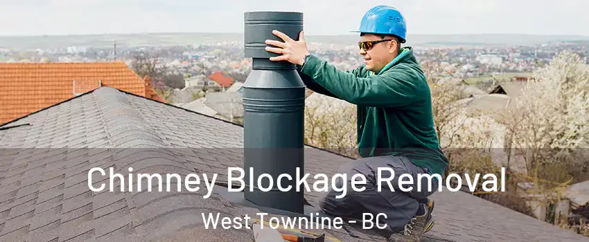 Chimney Blockage Removal West Townline - BC