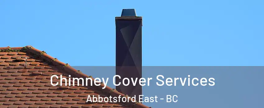 Chimney Cover Services Abbotsford East - BC