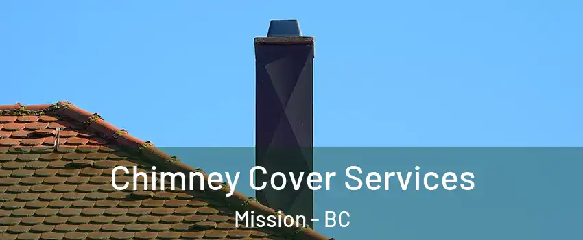 Chimney Cover Services Mission - BC