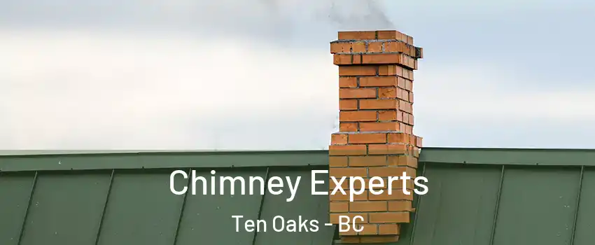 Chimney Experts Ten Oaks - BC