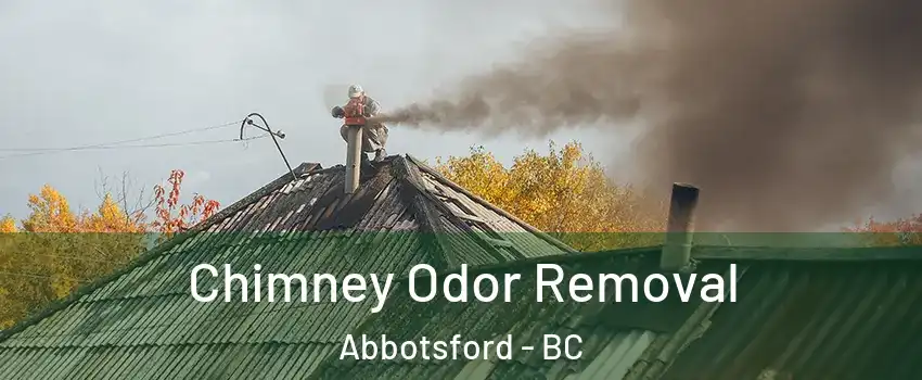 Chimney Odor Removal Abbotsford - BC