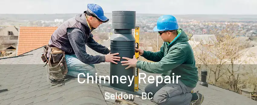 Chimney Repair Seldon - BC