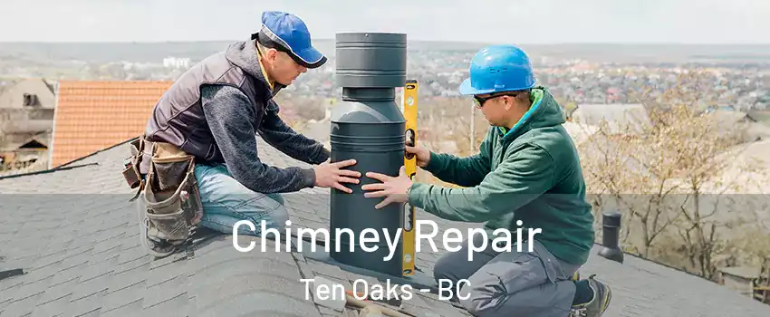 Chimney Repair Ten Oaks - BC
