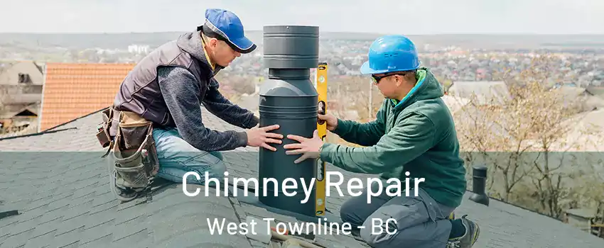 Chimney Repair West Townline - BC