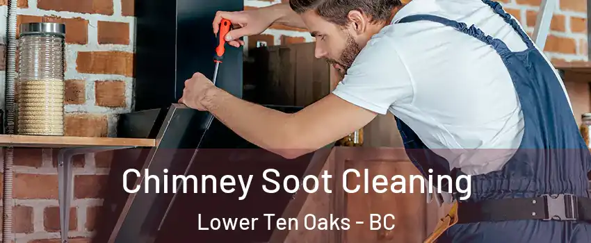 Chimney Soot Cleaning Lower Ten Oaks - BC