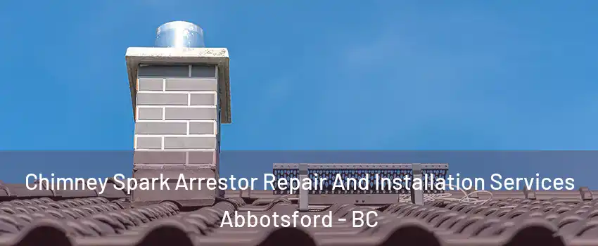 Chimney Spark Arrestor Repair And Installation Services Abbotsford - BC
