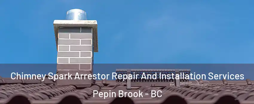 Chimney Spark Arrestor Repair And Installation Services Pepin Brook - BC