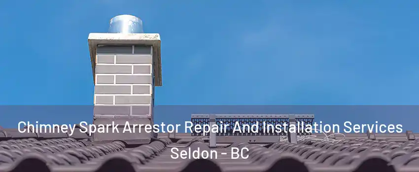 Chimney Spark Arrestor Repair And Installation Services Seldon - BC