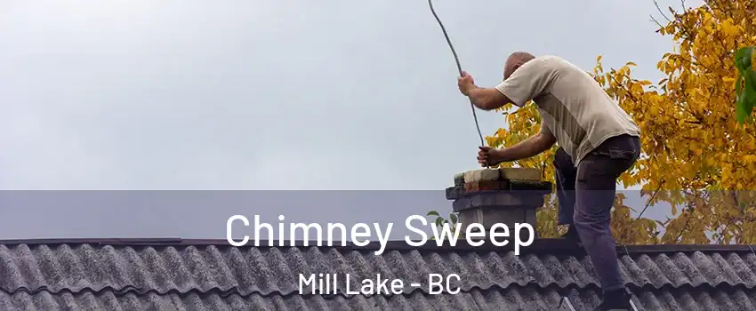 Chimney Sweep Mill Lake - BC