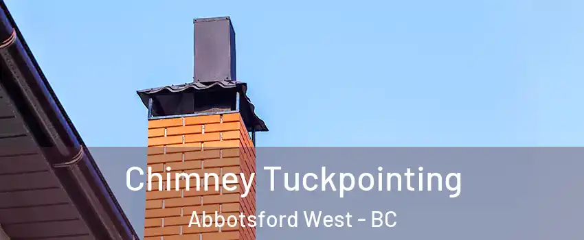 Chimney Tuckpointing Abbotsford West - BC