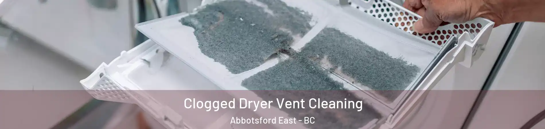 Clogged Dryer Vent Cleaning Abbotsford East - BC