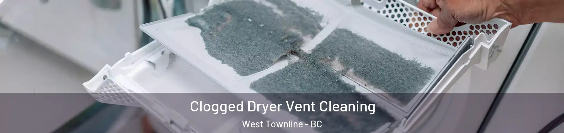 Clogged Dryer Vent Cleaning West Townline - BC