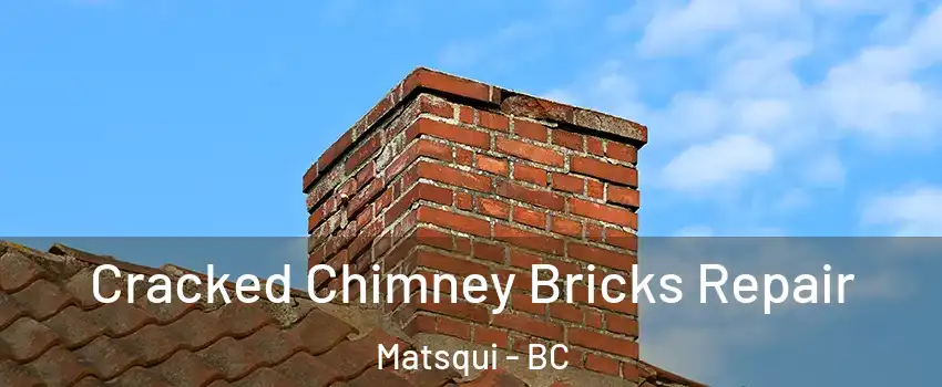 Cracked Chimney Bricks Repair Matsqui - BC