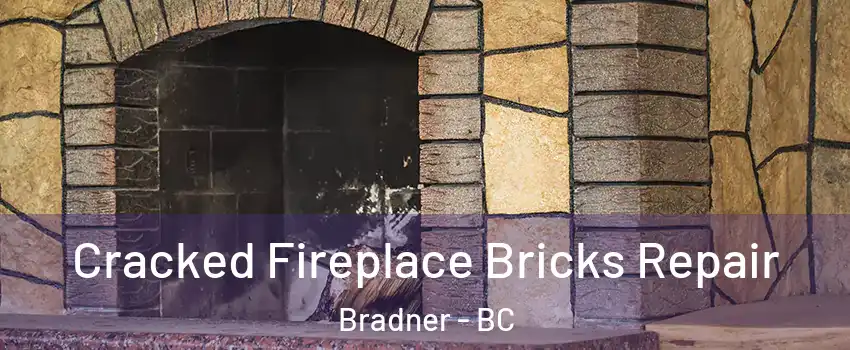 Cracked Fireplace Bricks Repair Bradner - BC
