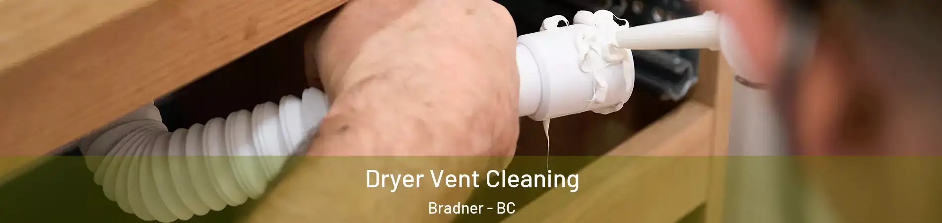 Dryer Vent Cleaning Bradner - BC