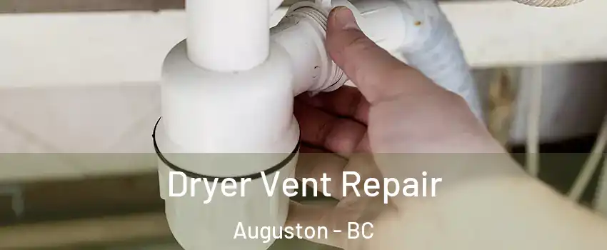 Dryer Vent Repair Auguston - BC