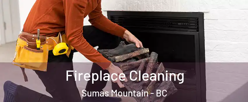 Fireplace Cleaning Sumas Mountain - BC