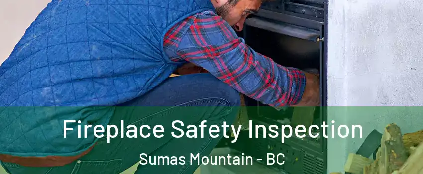 Fireplace Safety Inspection Sumas Mountain - BC