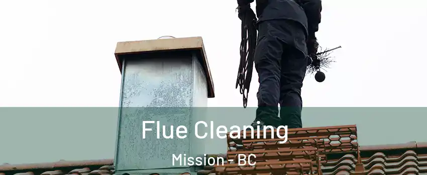 Flue Cleaning Mission - BC