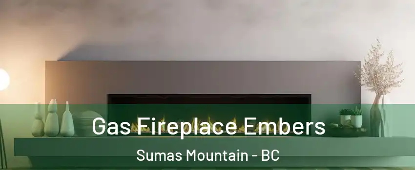 Gas Fireplace Embers Sumas Mountain - BC