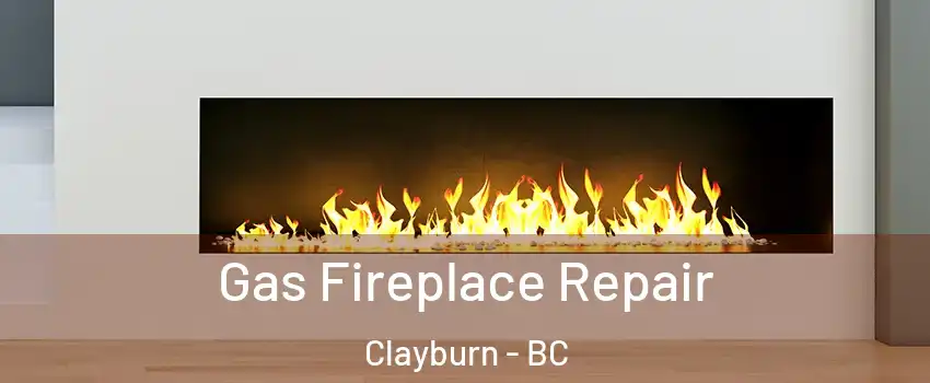 Gas Fireplace Repair Clayburn - BC