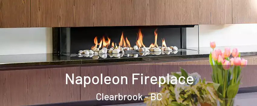 Napoleon Fireplace Clearbrook - BC