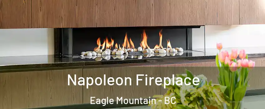 Napoleon Fireplace Eagle Mountain - BC