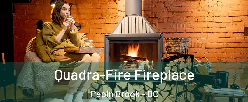 Quadra-Fire Fireplace Pepin Brook - BC