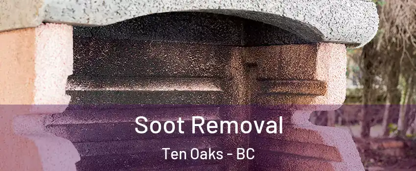 Soot Removal Ten Oaks - BC