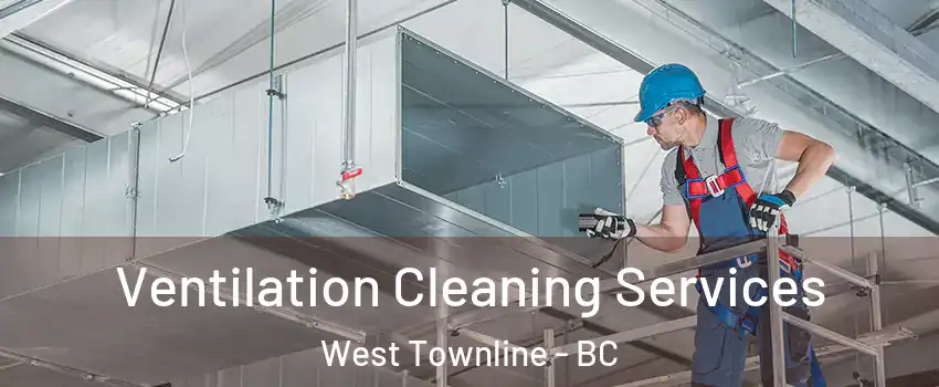 Ventilation Cleaning Services West Townline - BC