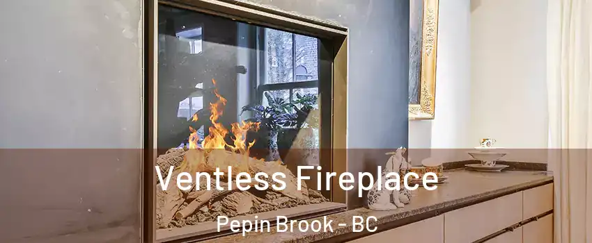 Ventless Fireplace Pepin Brook - BC