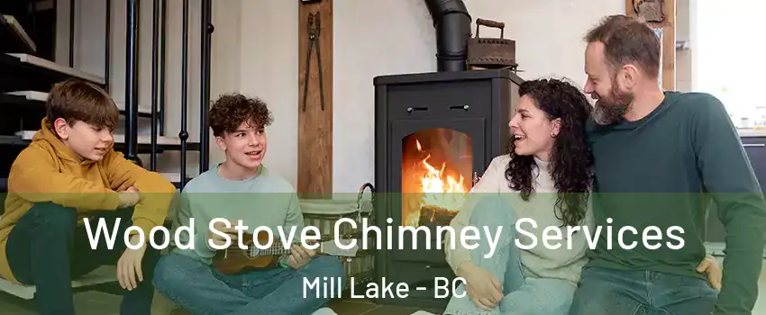Wood Stove Chimney Services Mill Lake - BC