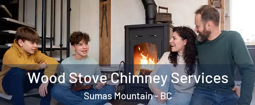 Wood Stove Chimney Services Sumas Mountain - BC
